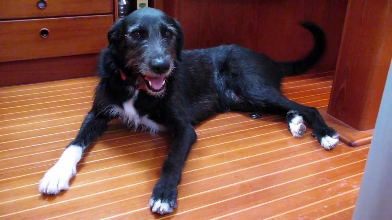 Fiskardho - argostoli