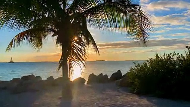 4k VIDEOS _ Beauty of Nature 4K (60 FPS) HDR UltraHD _ Sony Demo