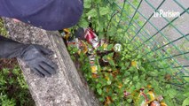 Saint-Ouen : en colère face aux déchets en bord de Seine, des habitants se retroussent les manches