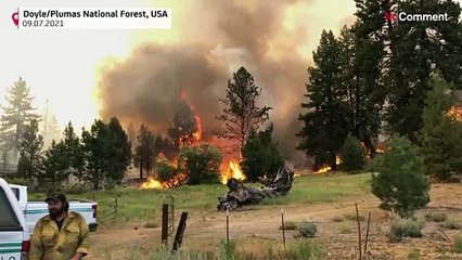 Pic de chaleur et vague d'incendies aux Etats-Unis