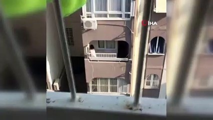 Adana’da köpeğe eziyet kamerada