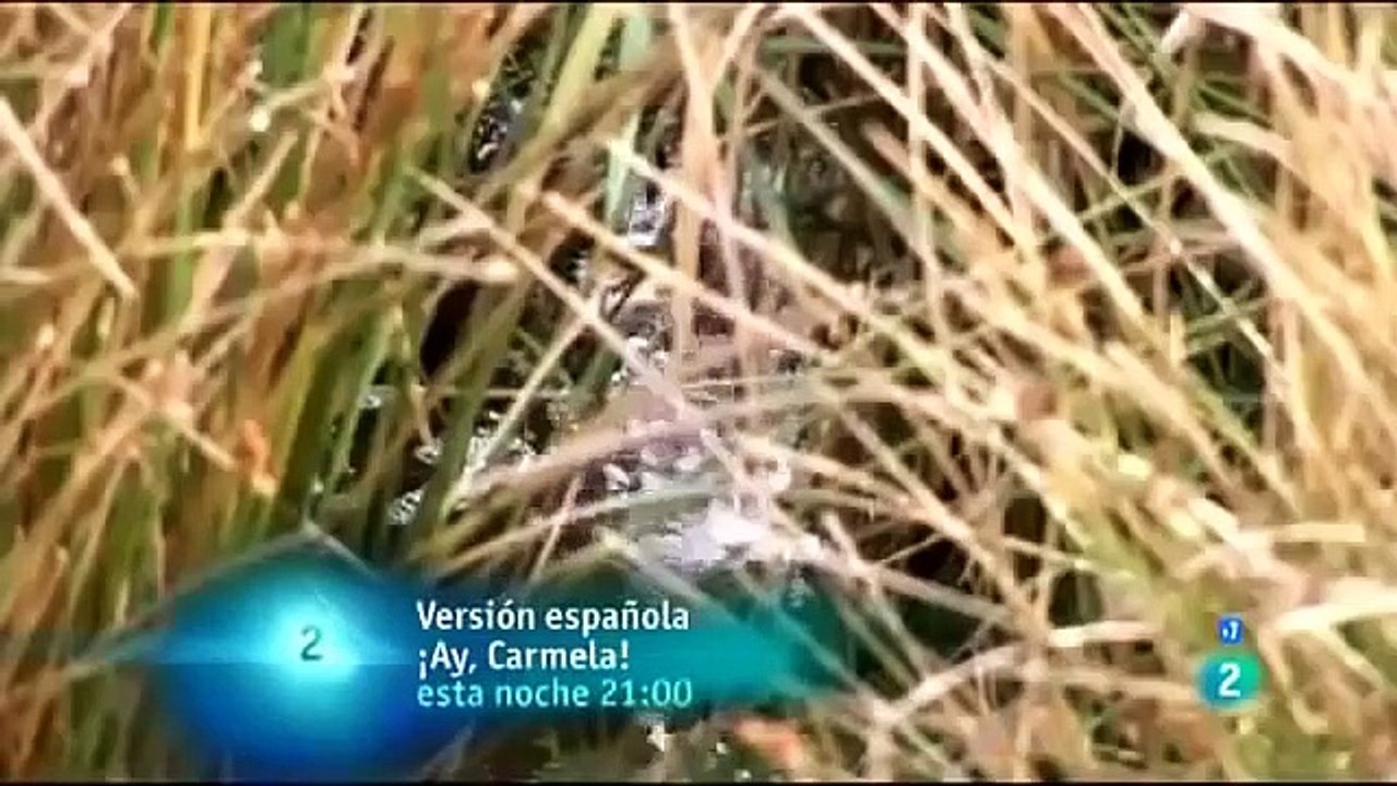 ANIMALES  VIDA Y MUERTE EN EL RIO 1 - NATIONAL GEOGRAPHIC - ANIMALS - ANIMALES SALVAJES