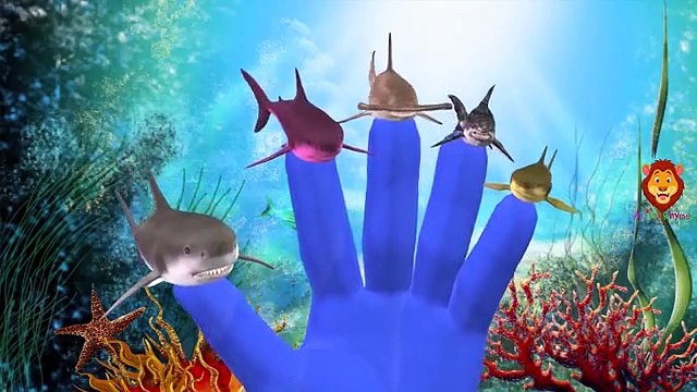 Дельфин Палец Семейные Песни Крокодил Семья Палец Рифмы Для Детей Акула Мультики (2)