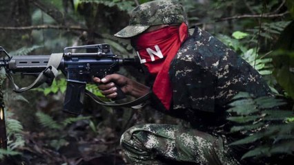 ELN y clan del golfo quieren infiltrar marcha del 20 de julio en Antioquia: Mindefensa
