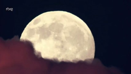 La carrera de la vida. La gran carrera del desierto. Documental.