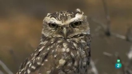 Los Andes -lugares extraordinarios del mundo- DOCUMENTAL