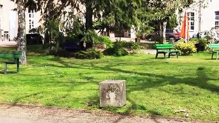 Gurbetçilerden ilginç AK Parti seçim videosu