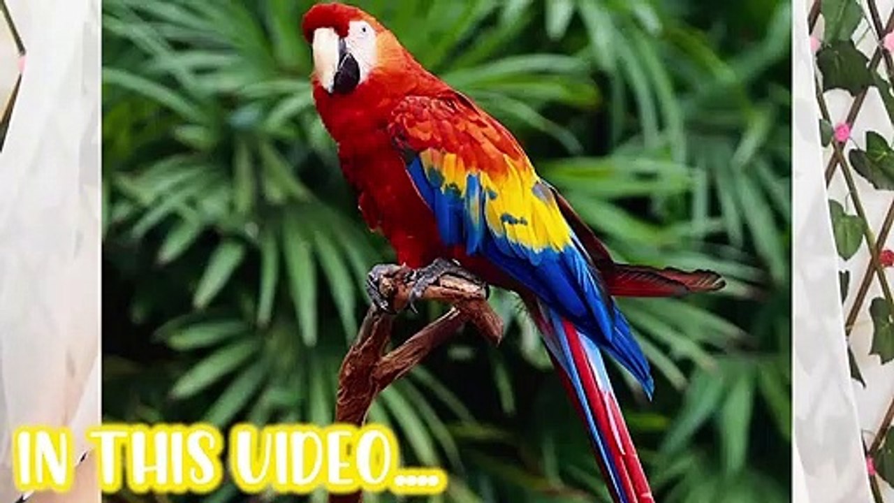 I Tested *Weird* Makeup Hacks From 5 Minute Crafts! **Yeh Kya Mazak H** 