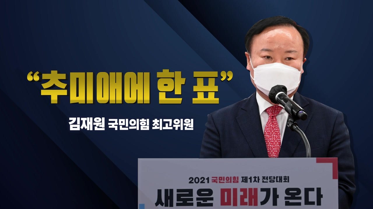 [뉴스라이브] 김재원 "추미애에 한 표"...與 "역선택 유도" 반발  / YTN