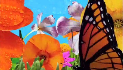 The Secret Life of the American Teenager S03E05 (2)