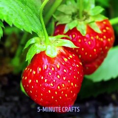 36 Summer Activities For Your Kids