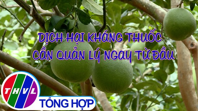 Nông nghiệp bền vững: Dịch hại kháng thuốc - Cần quản lý ngay từ đầu