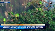 Misiones con más del 45% en ocupación hotelera