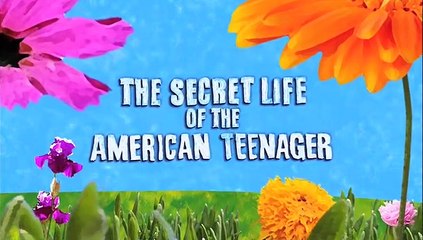The Secret Life of the American Teenager S02E19
