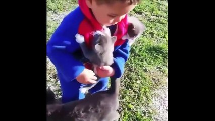 Bushman Prank Gone Horribly Wrong!!