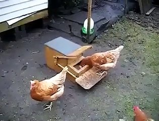 Harika bir tasarım