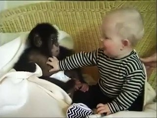 Bu bebekler bir harika