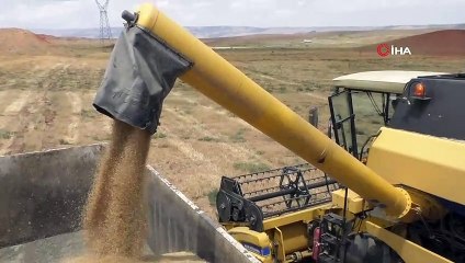 Binlerce dönümlük çorak arazi yeniden tarıma kazandırılıyor