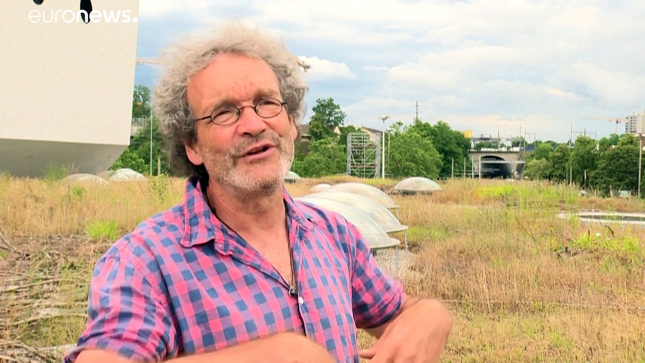 Basel: Welthauptstadt des Wildwuchses auf dem Dach