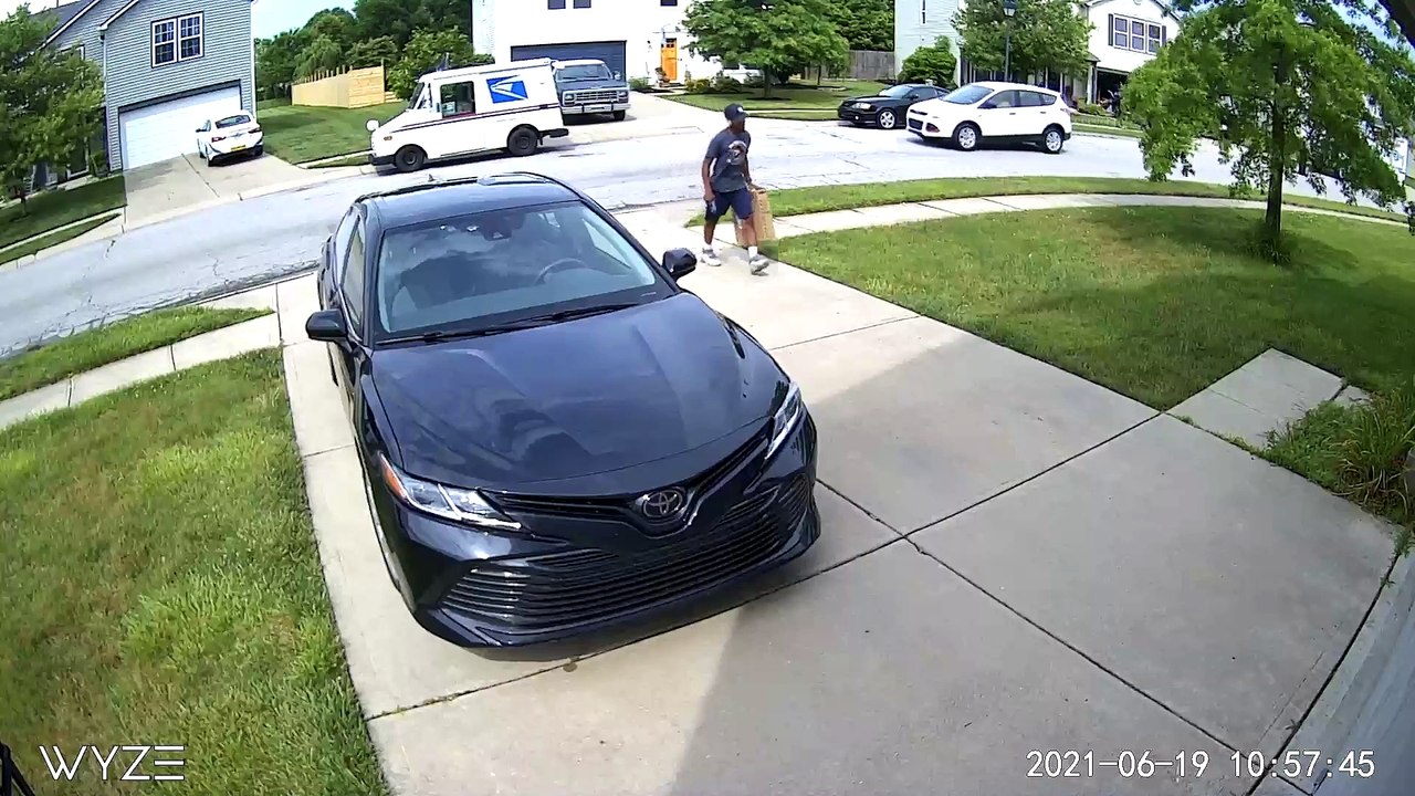 Delivery Driver Flees After Bird Attack
