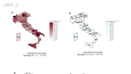 Iss: "Covid diffuso e persiste, il tasso dei positivi quasi all'1%"