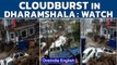 Dharamshala cloudburst triggers floods: Watch dramatic visuals | Oneindia News