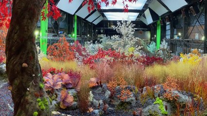 Lisey's Story — Making Boo'ya Moon Real | Apple TV+