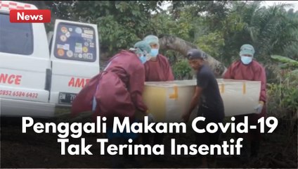 PILU !! PENGGALI MAKAM JENAZAH COVID-19 DI PEKANBARU TAK TERIMA INSENTIF !!