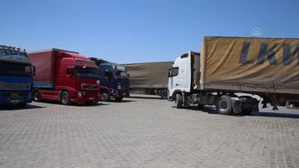 Son dakika haber | Cilvegözü Sınır Kapısı'nın bir yıl daha açık kalması kararı memnuniyetle karşılandı