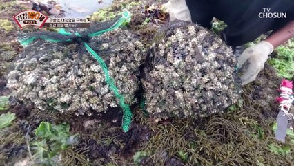 유방암 & 대장암을 극복한 비법 ‘청각 소금 레시피’ TV CHOSUN 2106712 방송