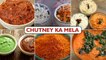 Chutney Ka Mela | How To Make Tasty Chutney | Different Types Of Chutney | Chutney Recipe In Hindi