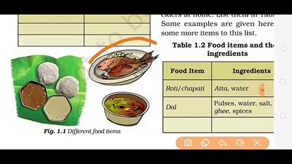 o_Class 6 Science -Chapter 01 Food Where Does It Come From_e