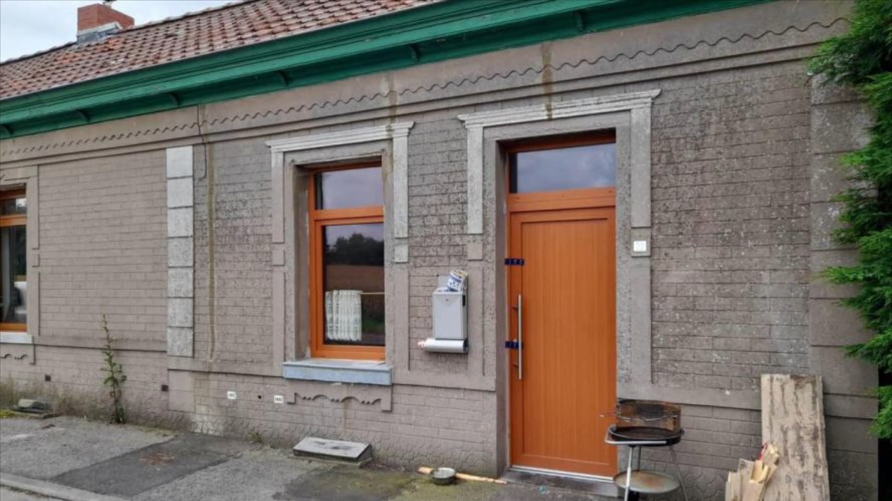 Drame à Strépy-Bracquegnies: une petite fille de 8 ans attaquée par un chien de race American Staff