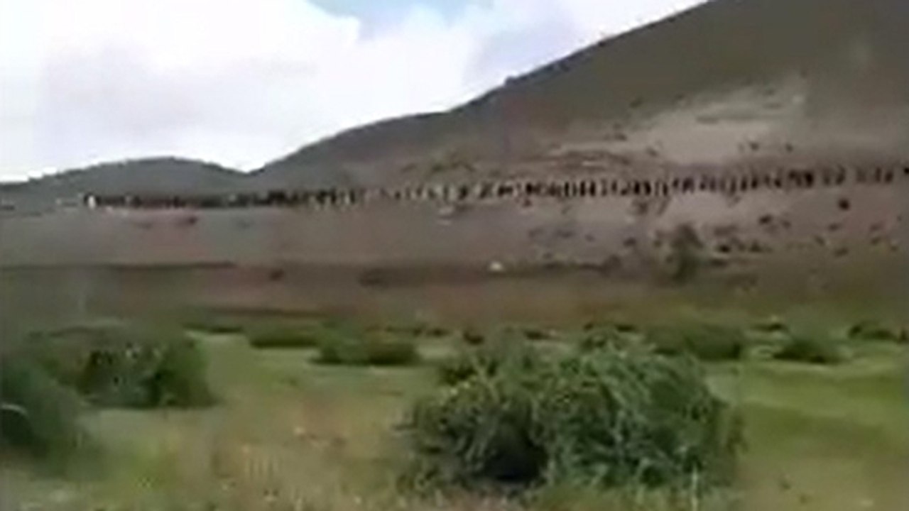 Taliban korkusuyla kaçıyorlar!