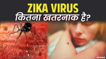 ZIKA VIRUS क्या है, और ये प्रेग्नेंट महिलाओं के लिए क्यों खतरनाक माना जा रहा है?