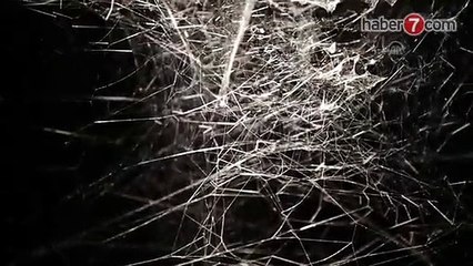 New York'ta 'örümcek ağı' sergisi açıldı