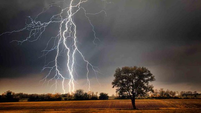 Lightning kills 61 across Uttar Pradesh, Rajasthan