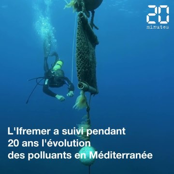 Après 20 ans de surveillance des polluants, quel est l'état de santé de la Méditerranée?