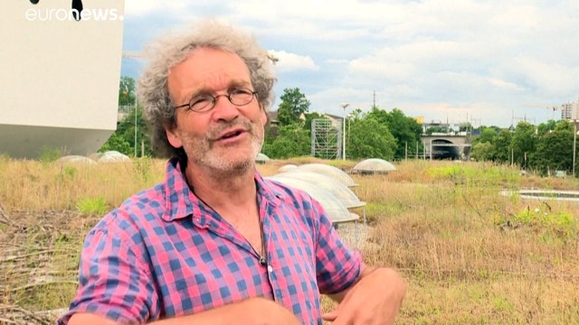 Basilea, la città più green d'Europa: i tetti verdi combattono il cambiamento climatico