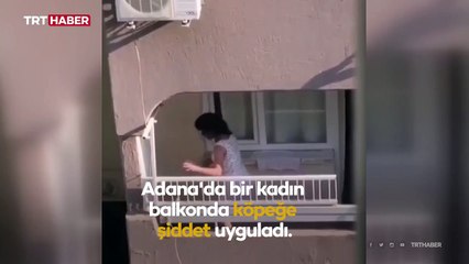 Köpeğe eziyet eden kadına ceza