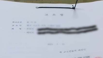 독립유공자·후손 463명, 명예훼손·모욕 혐의로 윤서인 고소 / YTN