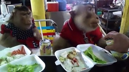 Restoranda yemek yediler