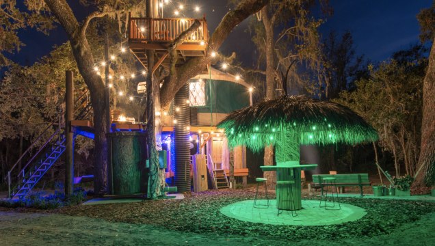 This Whimsical Florida Tree House Is One of the State's Most Popular Airbnbs — and It Has Its Own Tree Trunk Elevator