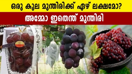 ഒരു മുന്തിരിക്ക് 35000 ഒരു കുല മുന്തിരിക്ക് ഏഴര ലക്ഷം. റൂബി റോമൻ ചില്ലറക്കാരനല്ല