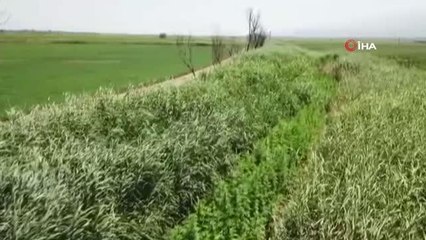 Drone tespit etti, jandarma operasyon yaptı