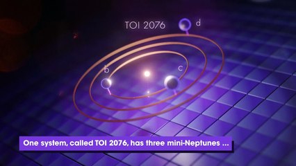 Download Video: TESS Finds Related Stars Have Young Exoplanets