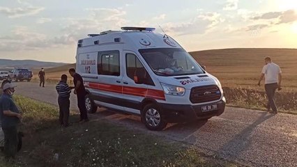 Tarım işçilerini taşıyan minibüs devrildi: 11 yaralı