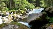 Nature's Waterfall With Meditation Music#Meditation Music