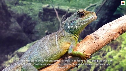 Western Ghats -Indian Biodiverse-Documentary
