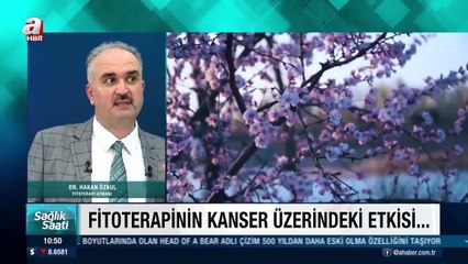 Dr Hakan Özkul A Haberde Sağlık Saati Programı Fitoterapinin Etkinliği Nedir ?